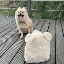 Cute Fluffy Backpack